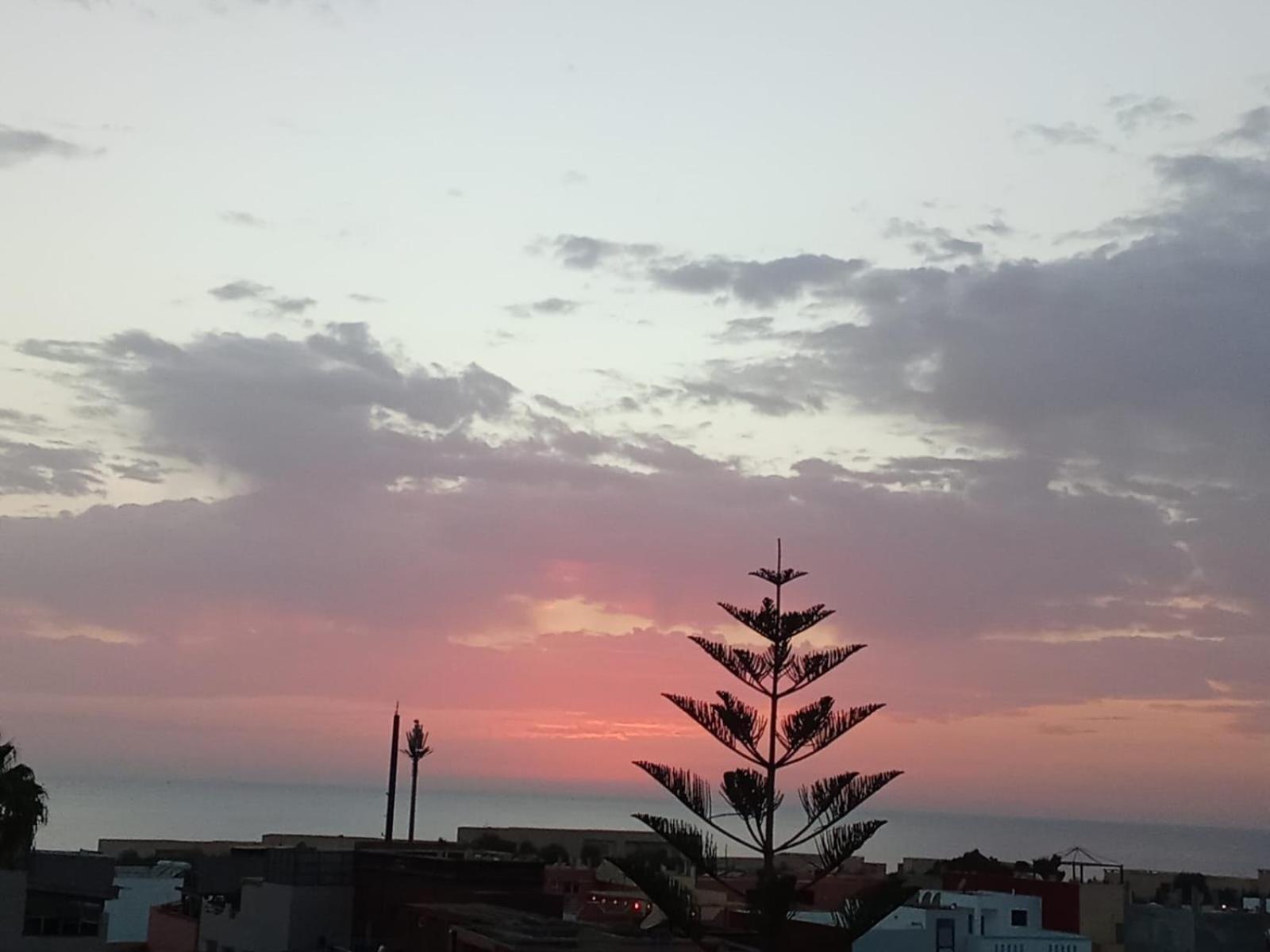 Idriss Tamraght Surfhostel タガズー エクステリア 写真